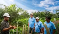 Kemitraan Sawit Buka Jalan Peremajaan Kebun
