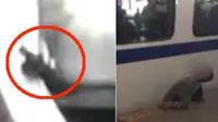 Detik-Detik Tubuh Seorang Pria Terjepit Kereta di Peron