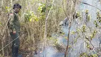 Taman Nasional Way Kambas Kembali Terbakar