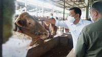 Kepala BPN atau National Food Agency Arief Prasetyo Adi mengatakan, ketersediaan dan harga daging sapi sejauh ini masih stabil. (Dok BPN)