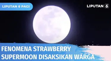 Bekerja sama dengan pengelola Ancol, pihak Planetarium Jakarta mengadakan piknik malam untuk melihat fenomena alam Strawberry Supermoon menggunakan teleskop di Pantai Ancol. Sedikitnya enam teleskop disediakan agar warga bisa melihat langsung.