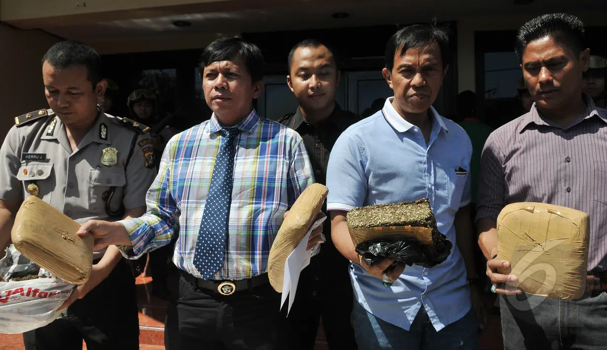 Petugas memperlihatkan barang bukti yang berhasil diamankan, Jakarta, Kamis (30/4/2015). Hasil operasi selama sepekan sepekan (21-29 April) berhasil mengamankan  tujuh kilogram ganja kering dan 57 gram sabu-sabu. (Liputan6.com/Herman Zakharia)