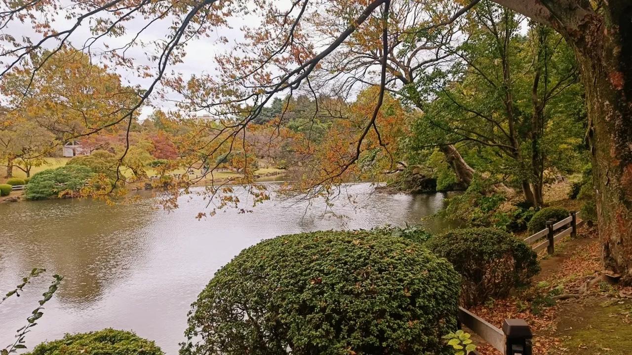 9. Jam Buka dan Cara Mengunjungi Shinjuku Gyoen