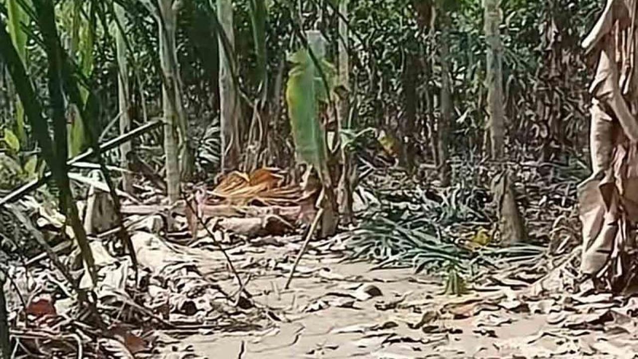 Banjir Rendam Ribuan Hektare Ladang, Petani Aceh Timur Terancam Gagal Panen