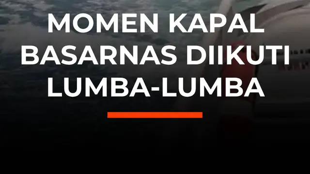 Momen Kapal Basarnas Diikuti Lumba-Lumba