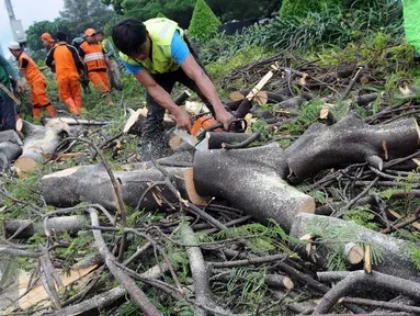 Petugas Dinas Pertamanan dan Pemakaman Provinsi DKI Jakarta memotong pohon yang tumbang di jalan Jenderal Sudirman, Jakarta, Senin (1/2). Pohon tumbang yang terjadi saat hujan deras mengakibatkan kemacetan panjang. (Liputan6.com/Helmi Afandi)