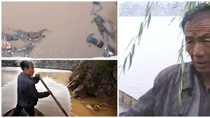 Foto Dari Berbagai Sumber