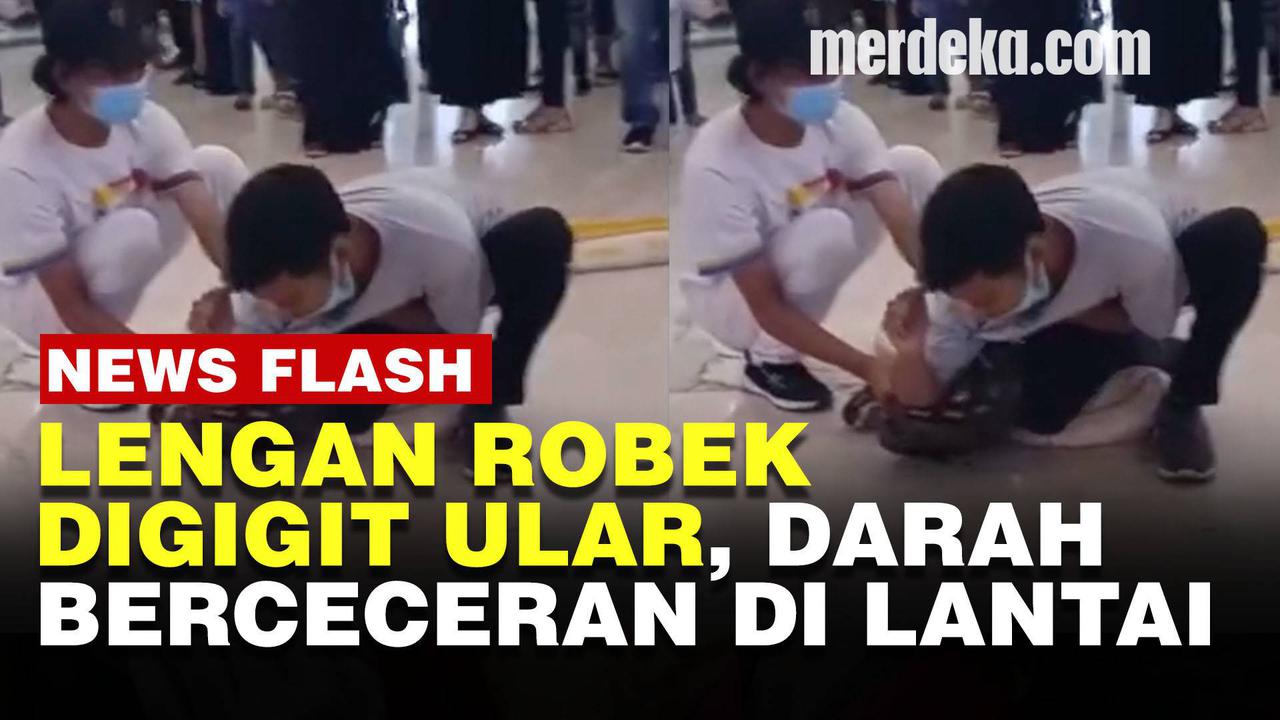 VIDEO : Seorang Pawang Digigit Ularnya Sendiri Saat Atraksi di Banjarbaru
