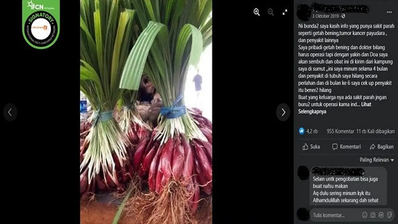 Gambar Tangkapan Layar Klaim Bawang Dayak dapat Menyembuhkan Getah Bening, Tumor, dan Kanker (sumber: Facebook).