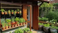 Berbagai Ide Kitchen Garden di Rumah yang Menarik, Wujudkan Dapur Impian