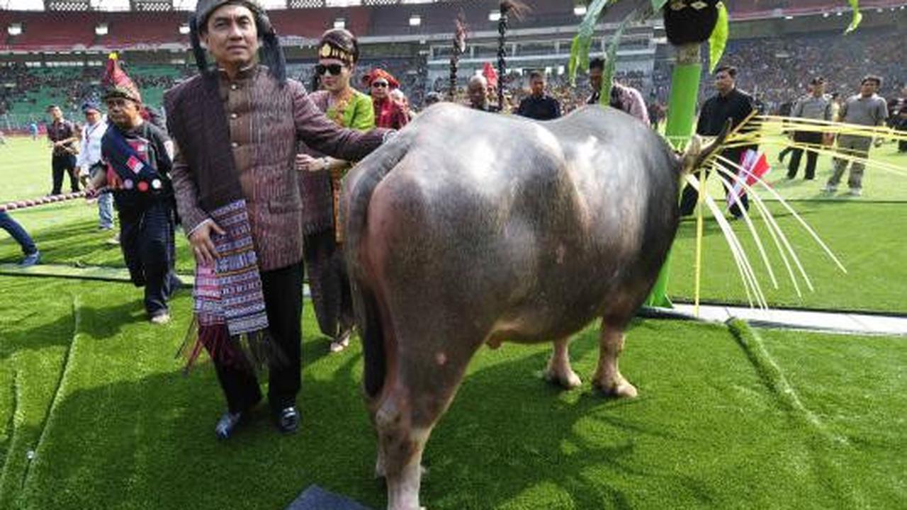 Festival seni budaya Batak