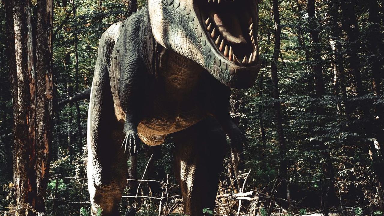 Perkembangan Sejarah dari Megalosaurus<br>