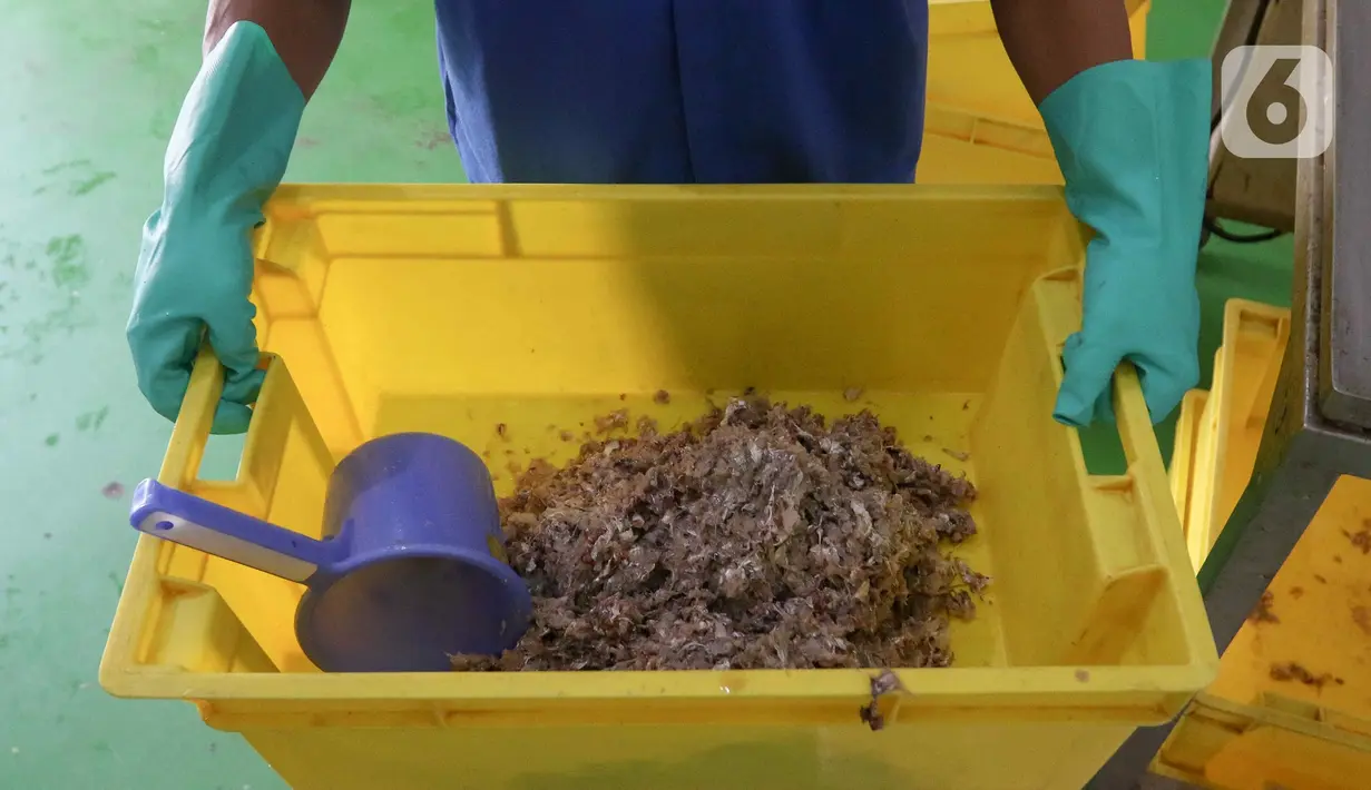 Setelah dibersihkan, ikan-ikan kemudian digiling menggunakan mesin sehingga menyerupai bubur daging ikan. (Liputan6.com/Herman Zakharia)