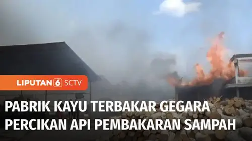 VIDEO: Pabrik Kayu di Ponorogo Ludes Terbakar Gegara Percikan Api Pembakaran Sampah