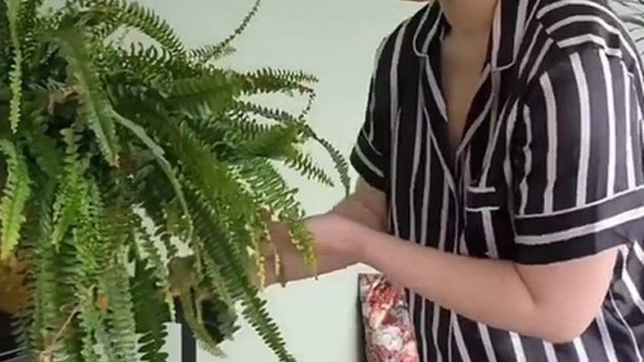 Rumah Gracia Indri mayoritas berwarna putih
