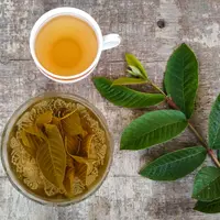 Daun jambu biji untuk menebalkan rambut. (Foto: shutterstock.com By Nishasharma)