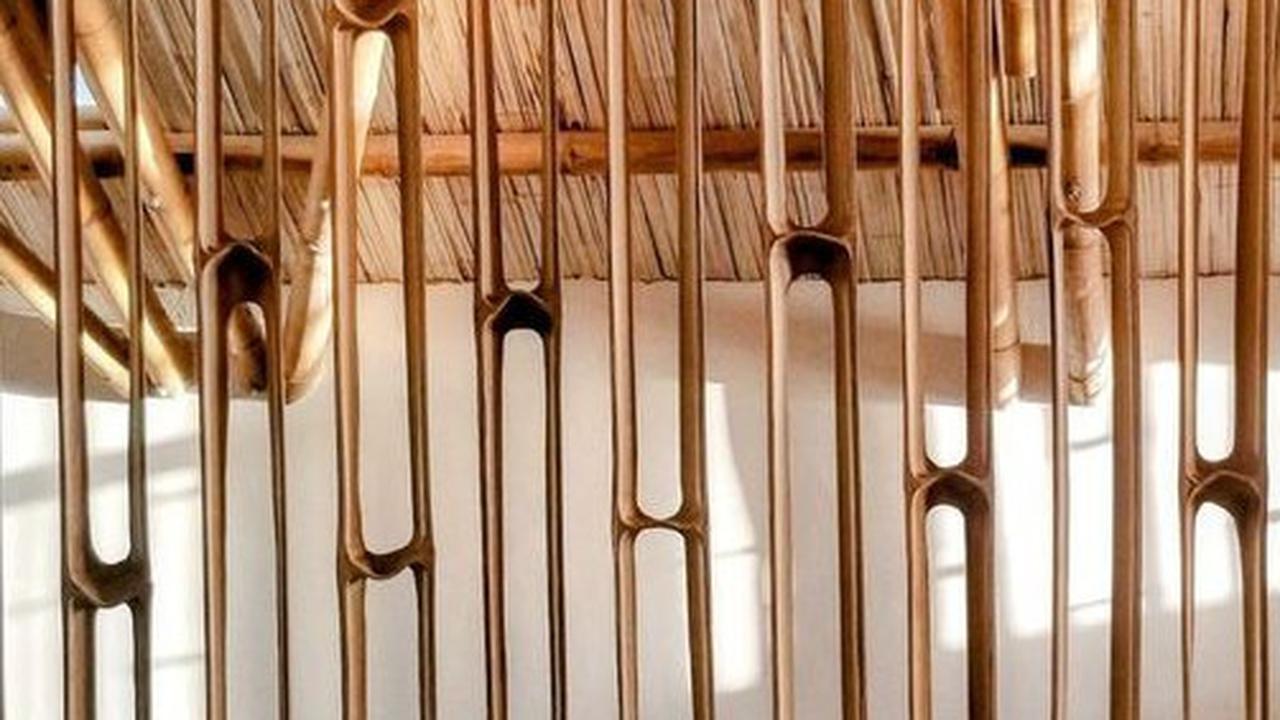 Inspirasi Pagar Bambu Minimalis untuk Hunian Modern