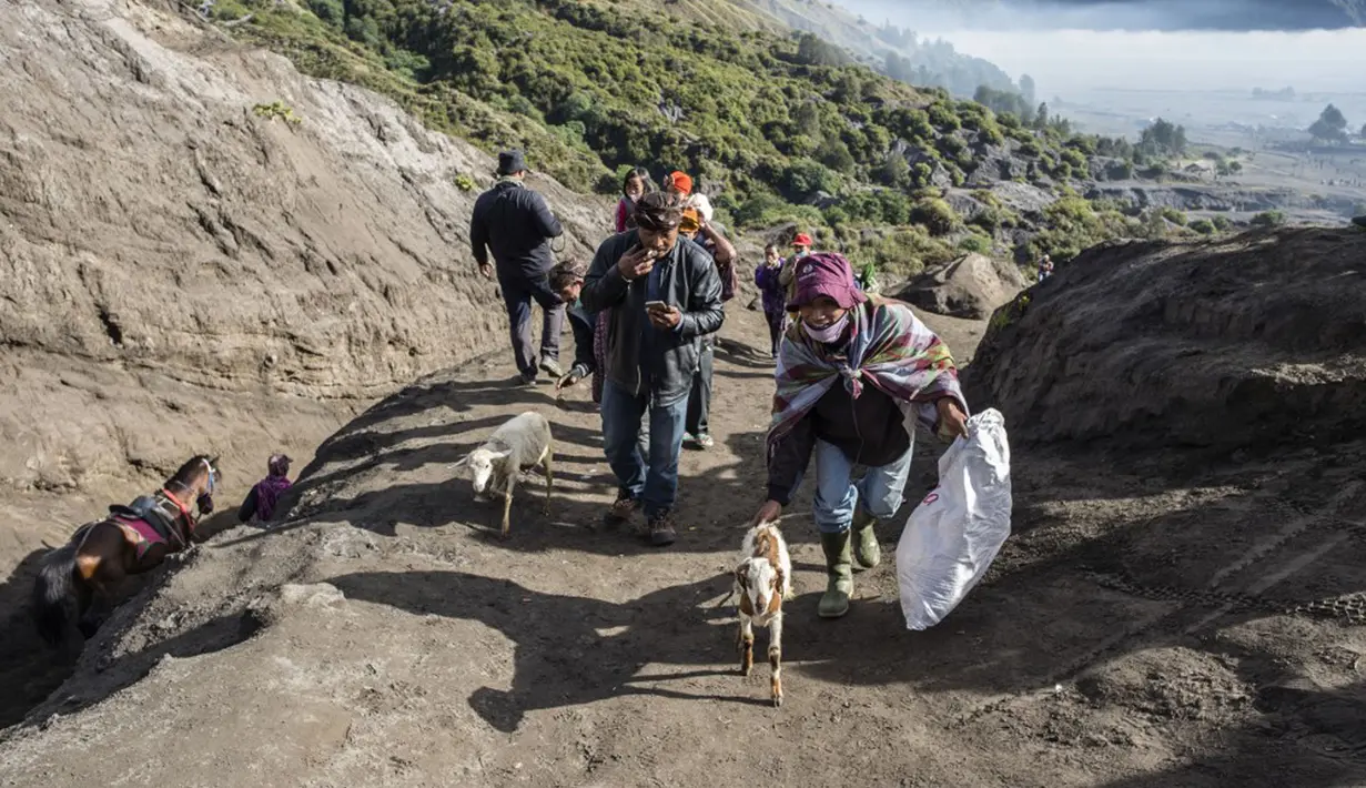 Suku Tengger berjalan ke puncak Gunung Bromo untuk melarung sesajen ke kawah saat upacara Yadnya Kasada di Probolinggo, Jawa Timur, Sabtu (26/6/2021). Suku Tengger mempersembahkan sesajen berupa beras, buah, ternak, dan barang lainnya untuk mencari berkah dari dewa. (Juni Kriswanto/AFP)