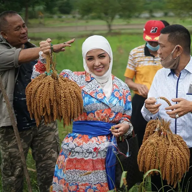 7 Gaya Bella Shofie Panen Padi Hotong di Pulau Buru Ini Jadi Sorotan