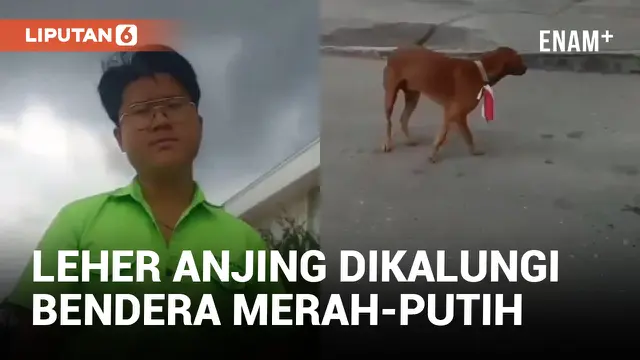 Pria di Bengkalis Diciduk Usai Pasang Bendera Merah Putih di Leher Anjing