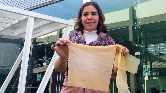 Kantong Plastik Kaktus