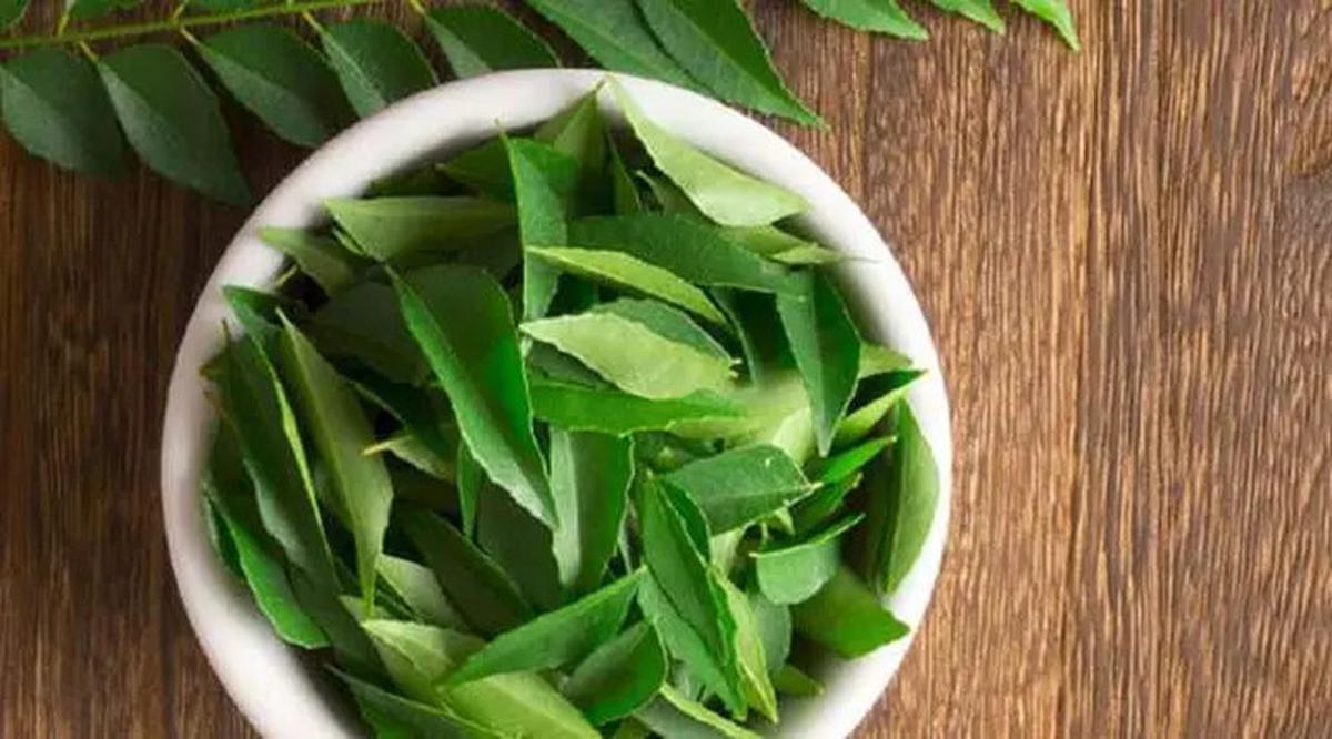 Rahasia Masak Hati Sapi Agar Tidak Amis dan Empuk