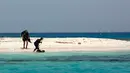 Instruktur selam Arab Saudi, Nouf Alosaimi bersama instruktur selam Mesir, Tamer Nasr menjelajahi pulau berpasir di Laut Merah, dekat King Abdullah Economic City. (AP Photo/Amr Nabil)