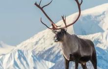 Lebih Misterius dan Menakutkan dari Segitiga Bermuda, Sudah 20.000 Orang Hilang di "Segitiga Alaska"