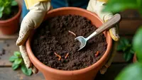 Cara Membasmi Cacing Tanah di Pot sampai Tuntas, Tanaman Tetap Sehat