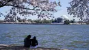 Orang-orang duduk di bawah pohon sakura Yoshino yang sedang mekar penuh di sekitar Tidal Basin di Washington, Selasa (30/3/2021).  Festival Bunga Sakura Nasional 2021 merayakan pemberian asli 3.000 pohon sakura dari kota Tokyo kepada masyarakat Washington di 1912. (AP Photo/Susan Walsh)