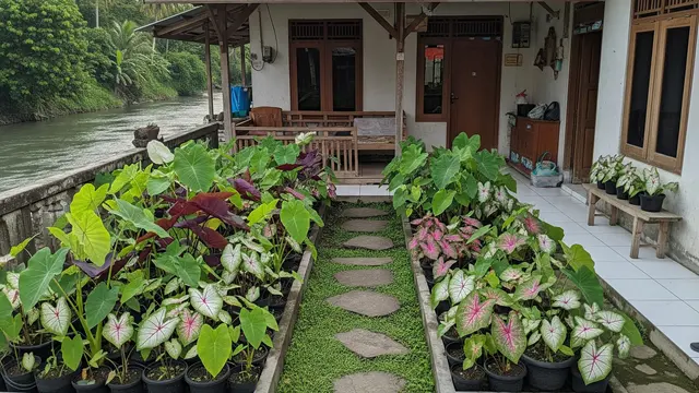 9 Ide Pekarangan Produktif untuk Rumah yang Berada Dekat Sungai, Sumber Pangan Mandiri