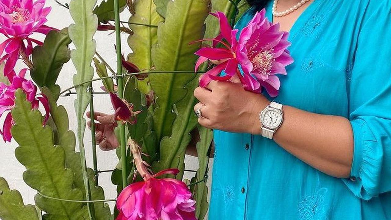 Kekayaannya Hampir Rp600 M, Segini Harga Outfit yang Dikenakan Titiek Soeharto dari Paling Mahal hingga 'Murah