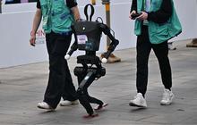 FOTO:  Pertama di Dunia! Puluhan Robot Humanoid Mengikuti Ajang Lomba Lari Setengah Marathon