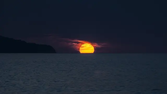 Ilustrasi pulau terisolasi (Pixabay)