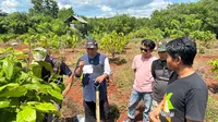 PT Aneka Tambang Tbk (Antam) bersinergi Bersama para petani kopi dan kakao membuat kebun edukasi dan pelatihan di Kolaka, Sulawesi Tenggara. Dok: Antam