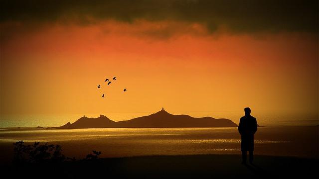 Ilustrasi. (foto: Pinterest/Flickr).