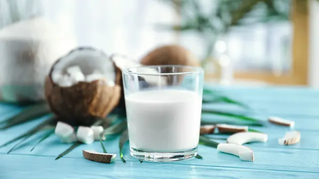 Santan Lebih Sehat dari Susu? Yuk, Cari Tahu Faktanya