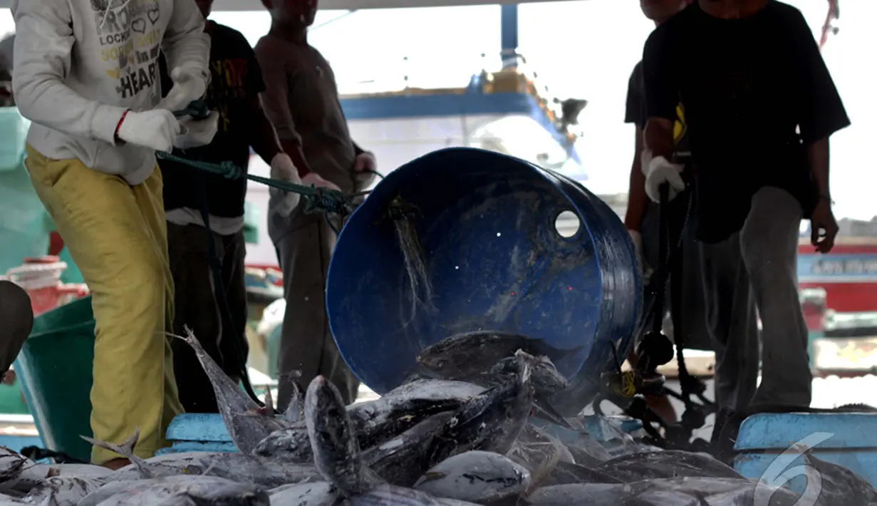 Pekerja saat memindahkan ikan hasil tangkapannya di Pelabuhan Muara Baru, Jakarta, Minggu (11/1/2015). (Liputan6.com/Faizal Fanani)
