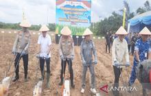 Polda Kalsel Canangkan Potensi Jagung Tanah Laut, Targetkan Swasembada Pangan Nasional