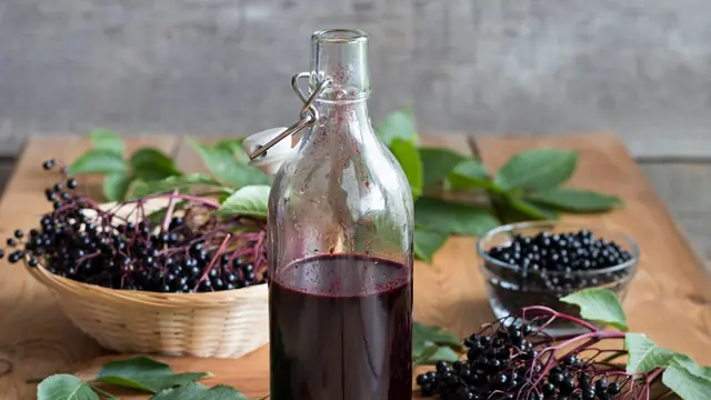 Elderberry