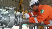 Kebutuhan Meningkat, Jawa Timur Butuh Tambahan Pasokan Gas