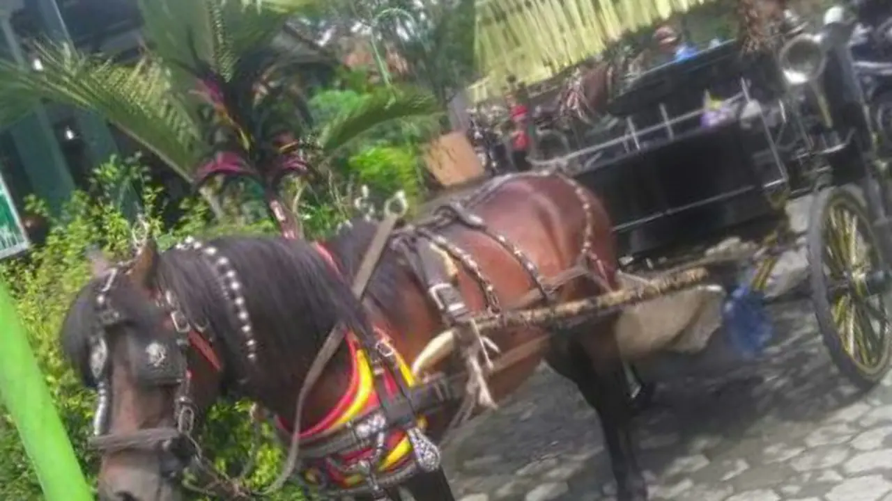 Keliling Kota Yogya dengan Kereta Wisata Kencana