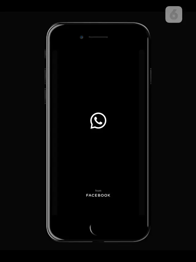Ilustrasi WhatsApp, Aplikasi WhatsApp