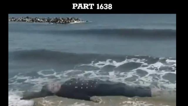 6 Potret Syuting Sinetron GGS di Pantai Ini Kocak, Netizen Baru Tersadar Sekarang