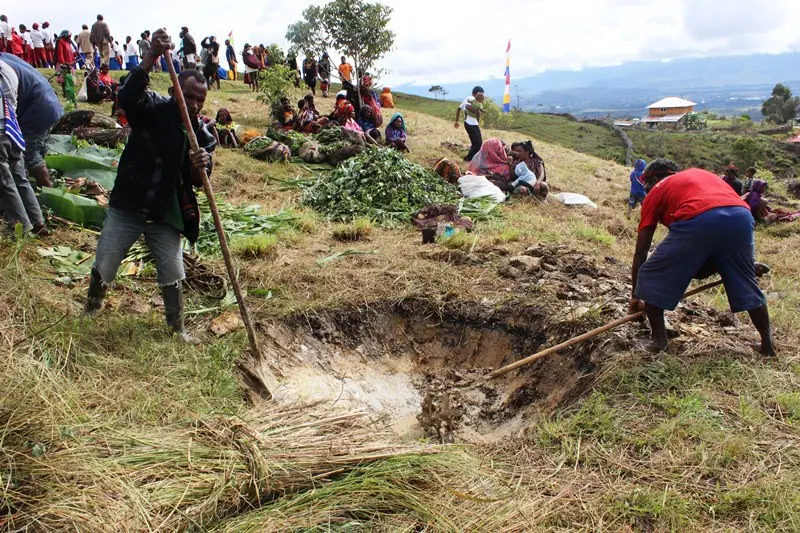 Para lelaki menggali lubang untuk memasukkan daging babi. (Foto: Liputan6.com/Fitri Haryanti Harsono)