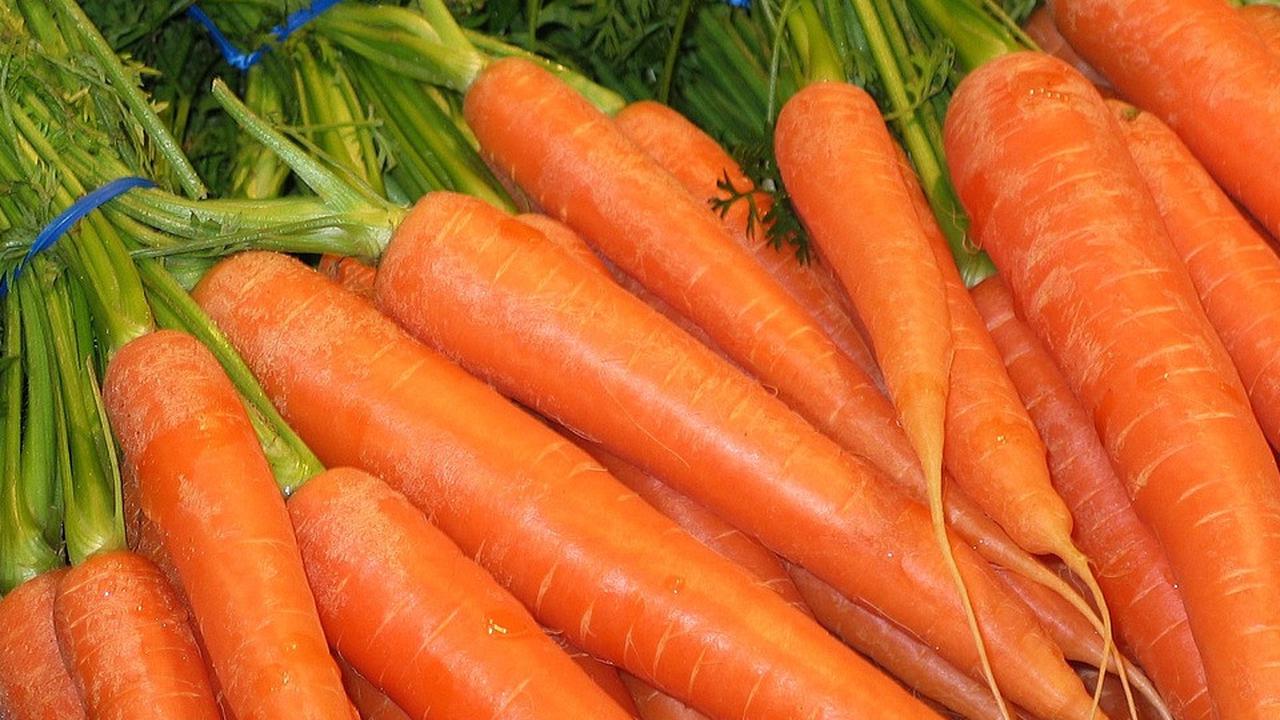 6 Manfaat Wortel untuk Kesuburan Pria, Meningkatkan Kualitas hingga Pergerakan Sperma