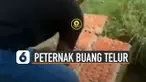 Beredar video seorang pria membuang puluhan telur di sawah.