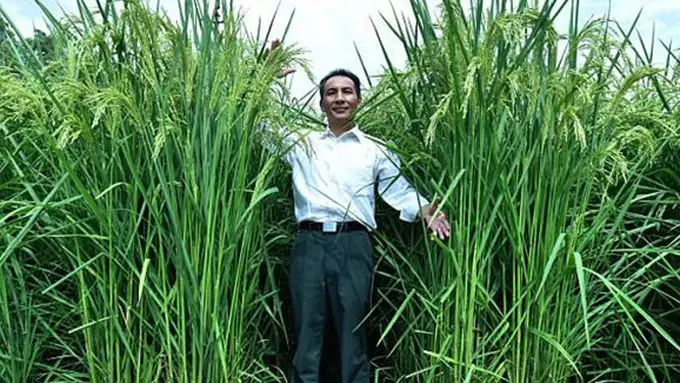 copyright asiantown.net/shutterstock.com