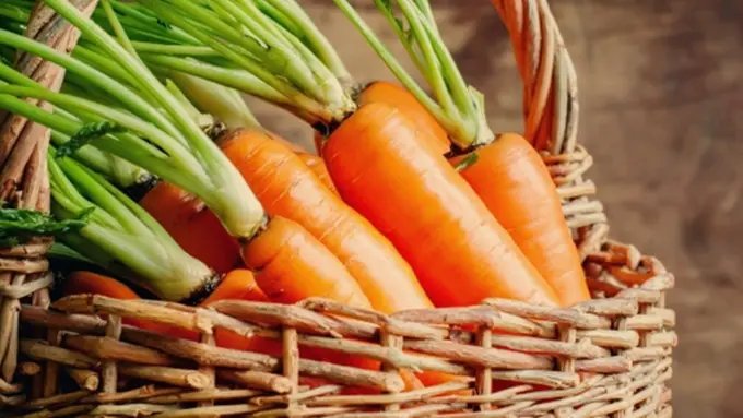 Foto: copyright thinkstockphotos.com