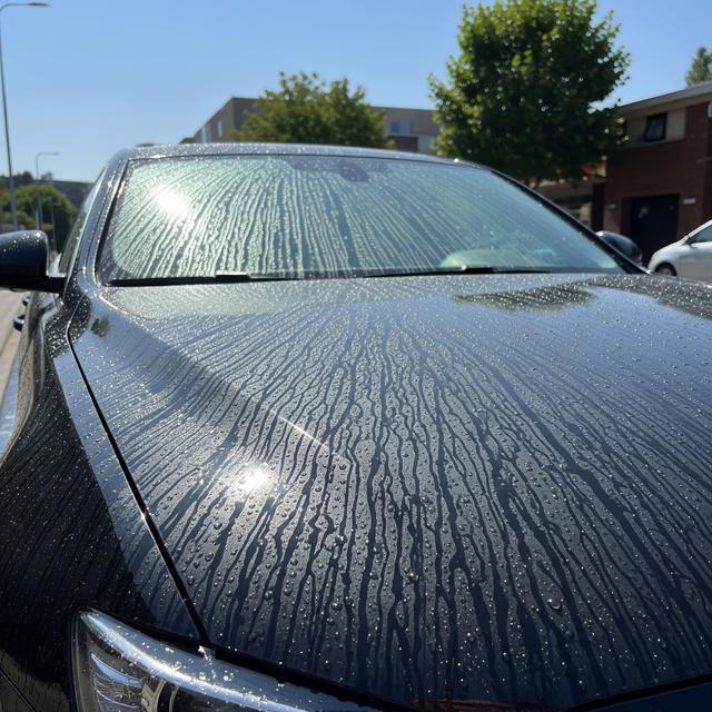 Mobil Tidak Langsung Dikeringkan Usai Dicuci (Gemini AI)